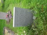 image of grave number 251327